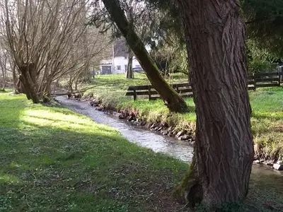 Bachlauf