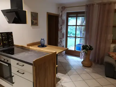 Fichtenschlag mit Terassenblick