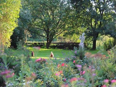 Garten mit Hühnern