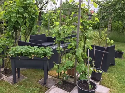 im Garten