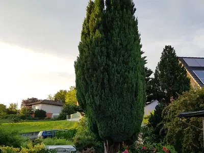 Ferienwohnung für 4 Personen (65 m²) in Altenstadt An Der Waldnaab 1/10