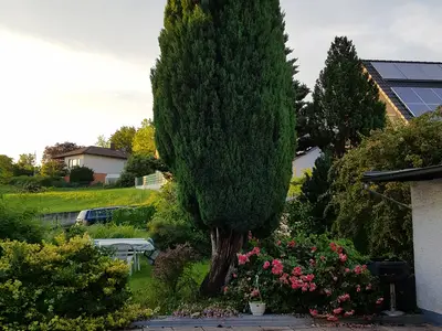 Ferienwohnung für 4 Personen (65 m²) in Altenstadt An Der Waldnaab 2/10
