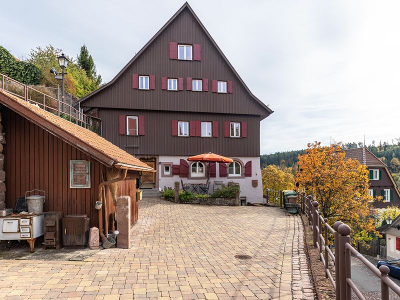 21728651-Ferienwohnung-2-Altensteig-800x600-2