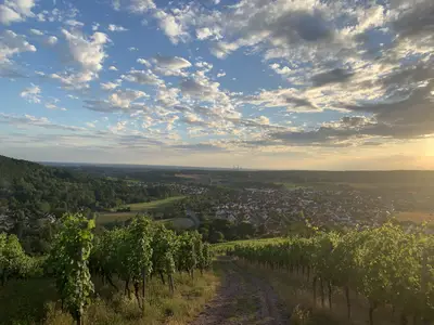 Blick vom Weinberg
