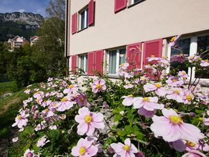 Ferienwohnung für 4 Personen (70 m&sup2;) in Amden