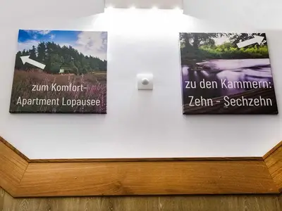 Ferienwohnung für 8 Personen (85 m²) in Amelinghausen 4/10