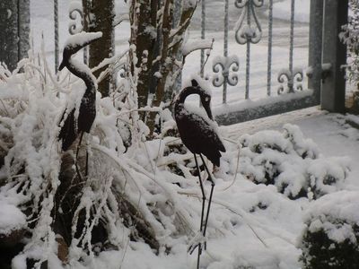 Garten im Winter