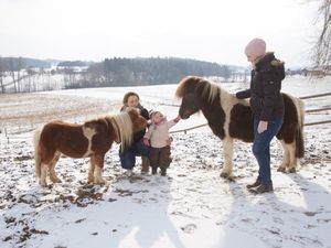 Ferienwohnung für 5 Personen (75 m²) in Amerang