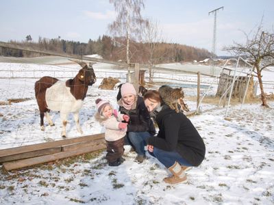 Ferienhof Dirnberg Winter