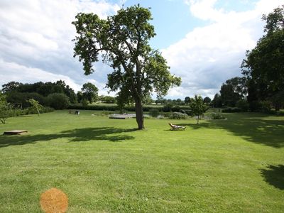 Garten. Liegewiese mit natürlich geklärtem Schwimmteich