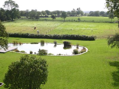 Garten. Schwimmteich mit Blick auf die angrenzenden Wiesen und das Naturschutzgebiet