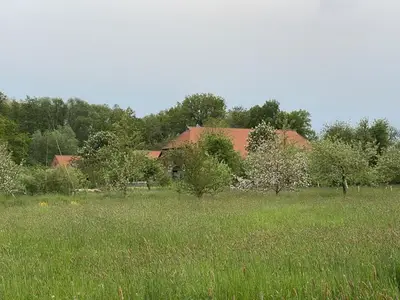 Ferienwohnung für 2 Personen (20 m²) in Amt Neuhaus 6/10