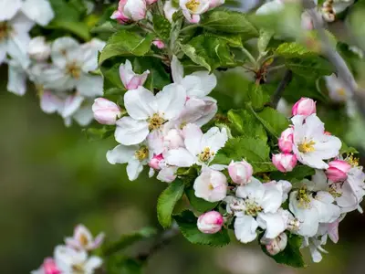 Ferienwohnung für 4 Personen (80 m²) in Andechs 7/10