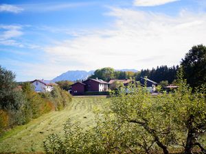 Rund um die Ferienwohnung finden Sie grüne Wiesen und wundervolle Landschaft