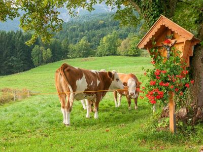 Wegekreuz in der Nähe vom Bauernhaus