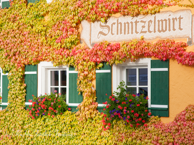 Gasthaus Schnitzelwirt