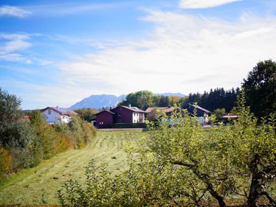 Rund um die Ferienwohnung finden Sie grüne Wiesen und wundervolle Landschaft