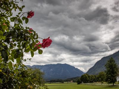 Blick vom Balkon