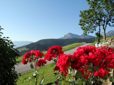 Haus Freynend - Aussicht