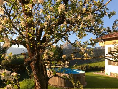 Haus Freynend - Garten mit Swimmingpool