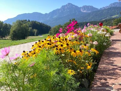 Aussicht auf den Hochstaufen