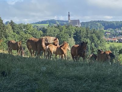 „Unsere Nachbarn“