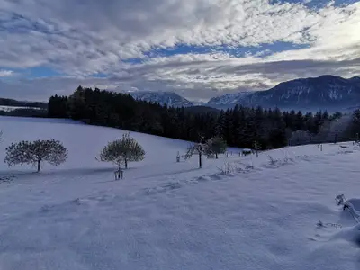 Winterlandschaft rund um den Reinbrechthof