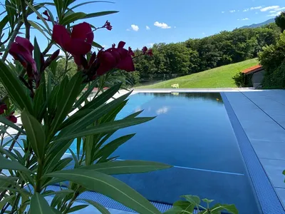 Sommerimpressionen