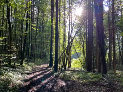 direkte Umgebung
