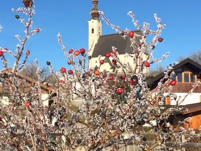 Kirche Anger