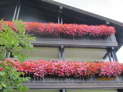 Ferienwohnung für 6 Personen (62 m²) in Anger 9/10