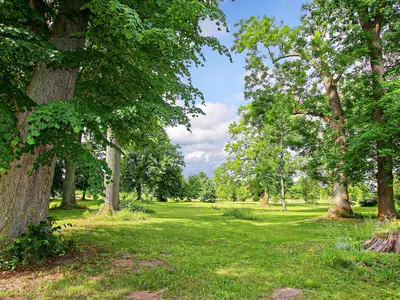 outside