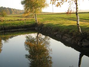 Herbst am Teich