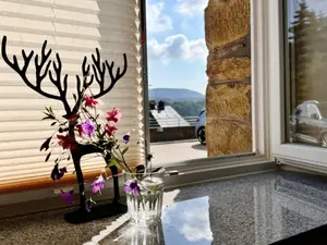 Ferienwohnung für 2 Personen (40 m²) in Annaberg-Buchholz