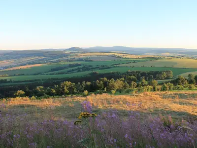 Aussicht Pöhlbergalm mit Wander- und Radwegen