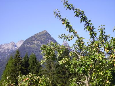 Ferienwohnung für 8 Personen (100 m²) in Annaberg (Salzburg) 6/10