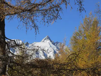 Großglockner -Blick
