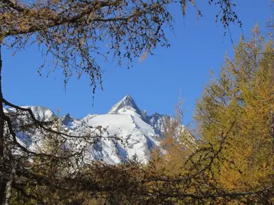 Ferienwohnung für 4 Personen (30 m²) in Annenheim 4/10