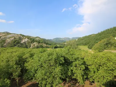 ViewSummer