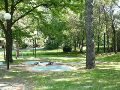 GardenSummer