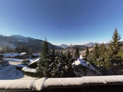Ferienwohnung für 5 Personen (30 m²) in Les Carroz-d'Arâches 1/10