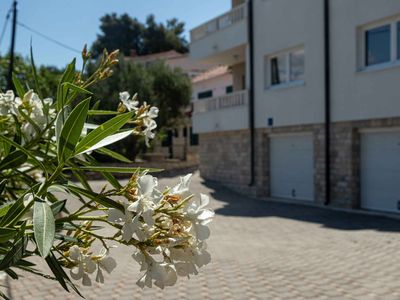 Ferienwohnung für 4 Personen (45 m²) in Arbanija 9/10