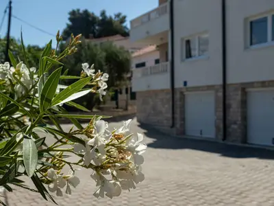 Ferienwohnung für 4 Personen (40 m²) in Arbanija 7/10