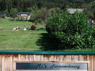 Ferienwohnung MaMi´s, Grundlsee