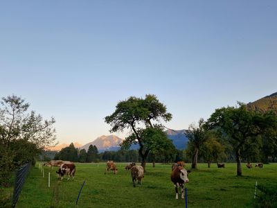 Blick zum Gesäuse