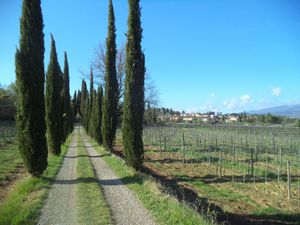 22809247-Ferienwohnung-3-Arezzo-300x225-2