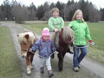 Ponyreiten - ein Highlight für die Kinder