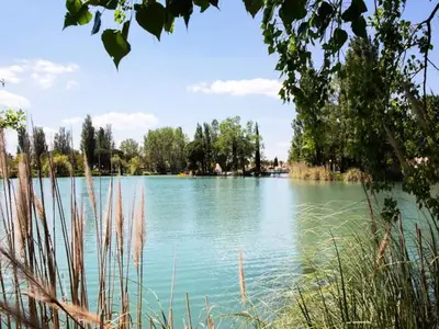 Ferienwohnung für 3 Personen (22 m²) in Arles 10/10