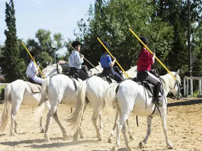 Ferienwohnung für 7 Personen (50 m²) in Arles 10/10