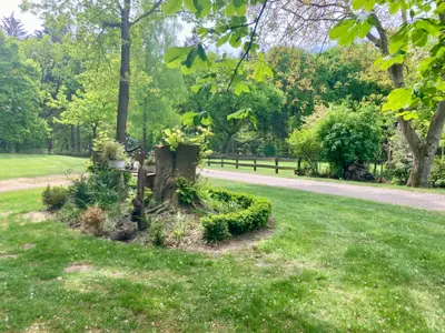 Ferienwohnung für 3 Personen (60 m²) in Armstorf 4/10
